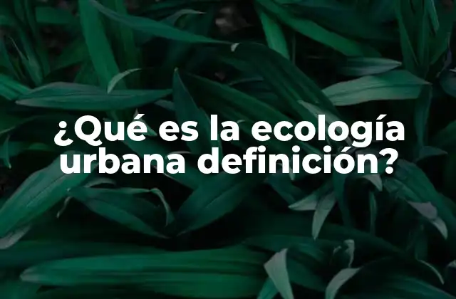 ¿qué es la Ecología Urbana Definición? 2 El estudio de la relación entre la ciudad y sus habitantes