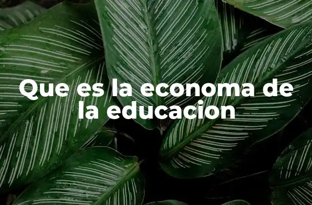 Que es la Economa de la Educacion