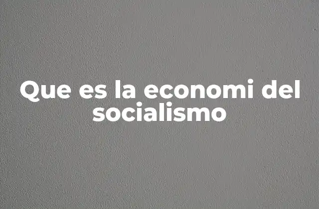 Que es la Economi Del Socialismo