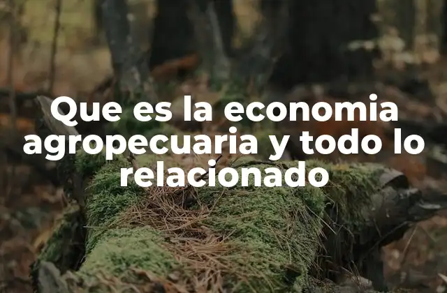El impacto de la actividad agropecuaria en la economía global
