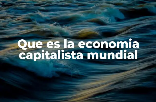 Que es la Economia Capitalista Mundial