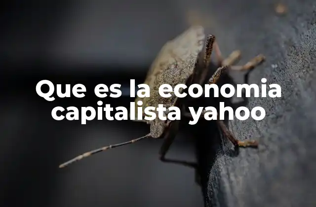 Que es la Economia Capitalista Yahoo
