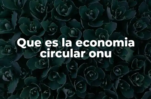 Que es la Economia Circular Onu
