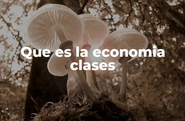 Que es la Economia Clases