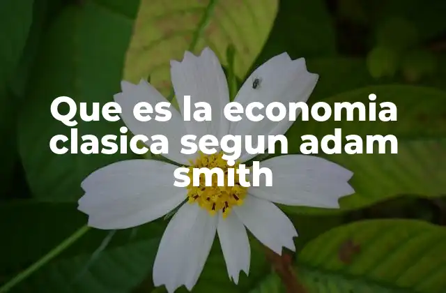 Que es la Economia Clasica Segun Adam Smith