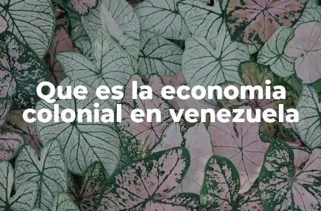 Que es la Economia Colonial en Venezuela