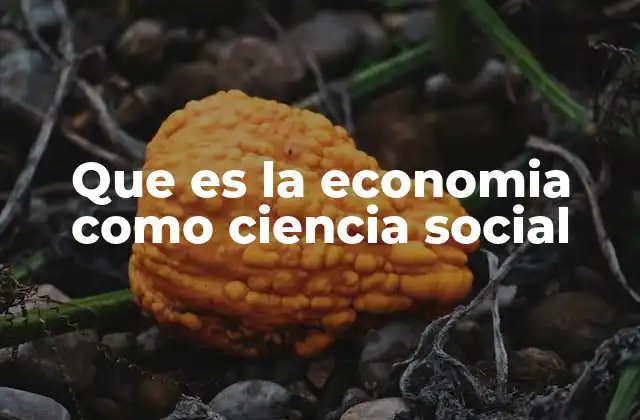 Que es la Economia como Ciencia Social