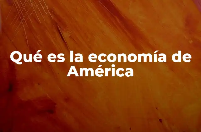 Qué es la Economía de América