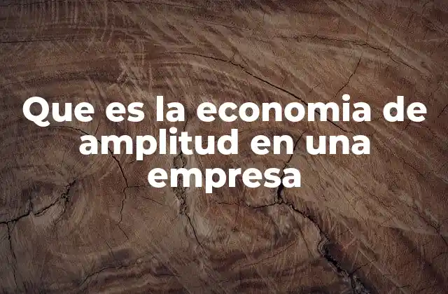 Que es la Economia de Amplitud en una Empresa