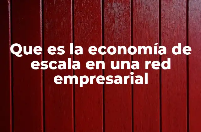 Que es la Economía de Escala en una Red Empresarial
