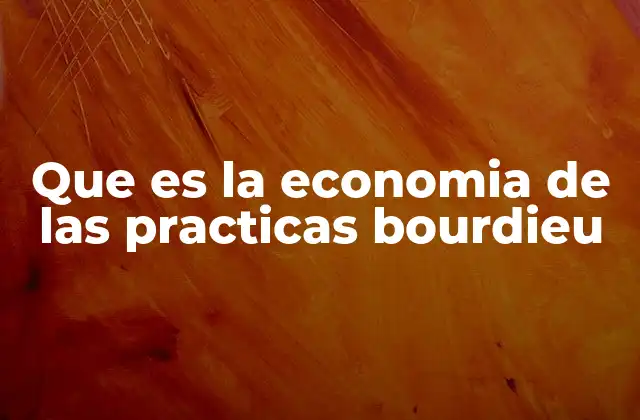 Que es la Economia de las Practicas Bourdieu