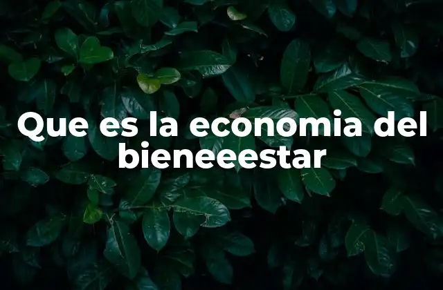 Que es la Economia Del Bieneeestar 2 El equilibrio entre eficiencia y justicia en la sociedad
