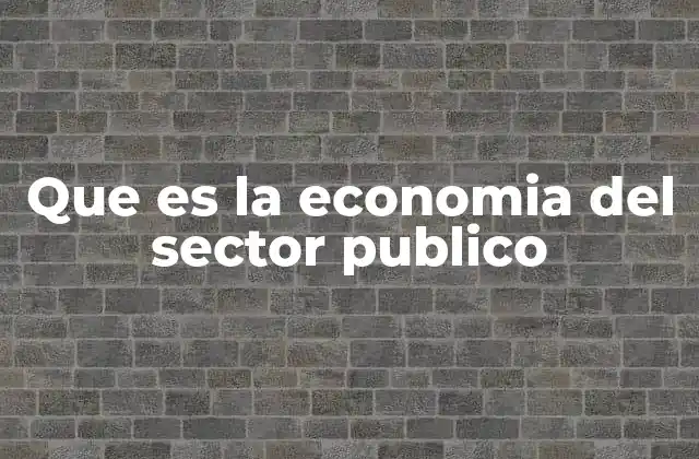 Que es la Economia Del Sector Publico