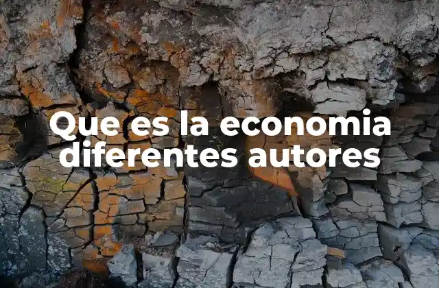 La visión de la economía desde diferentes enfoques teóricos