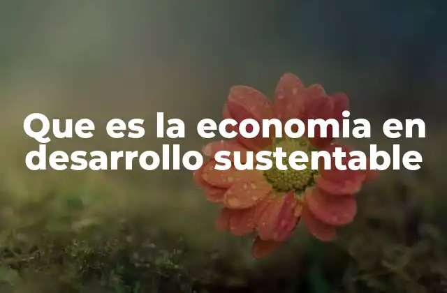 Que es la Economia en Desarrollo Sustentable