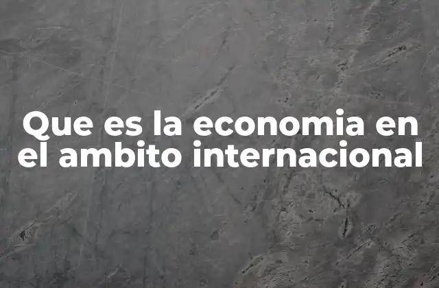 Que es la Economia en el Ambito Internacional