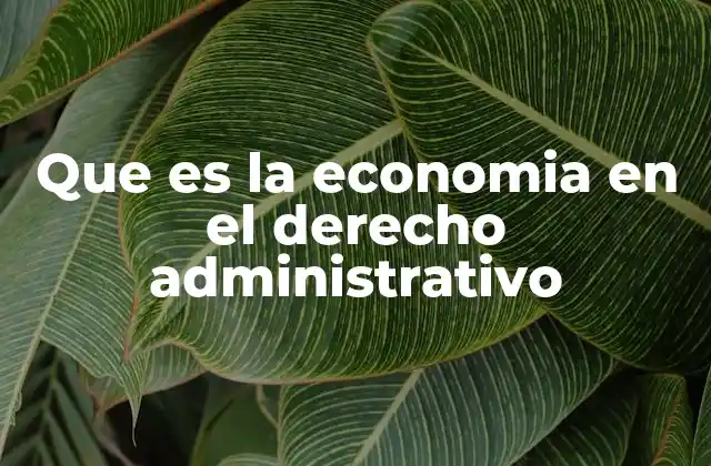 Que es la Economia en el Derecho Administrativo