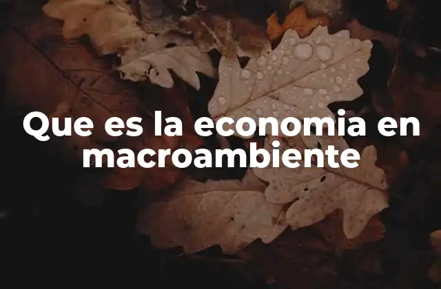 Que es la Economia en Macroambiente