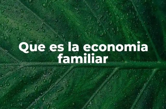 Que es la Economia Familiar