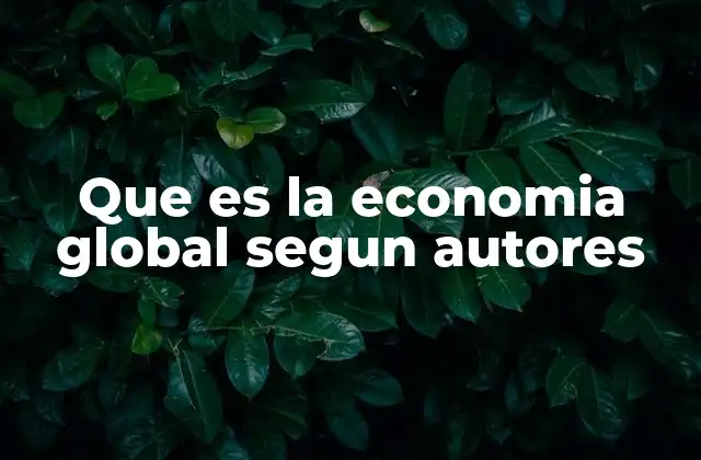 Que es la Economia Global Segun Autores