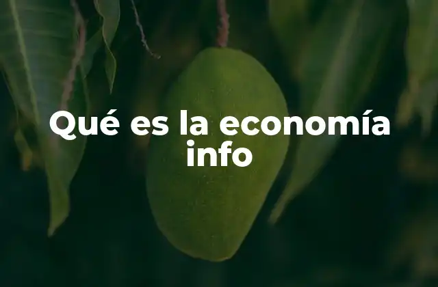 Qué es la Economía Info
