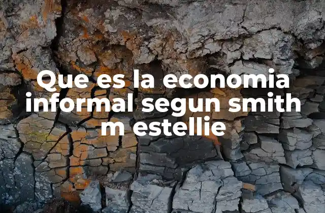 Que es la Economia Informal Segun Smith M Estellie