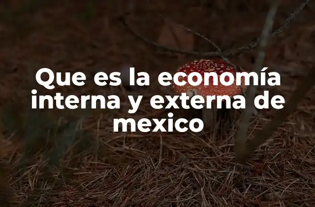 Que es la Economía Interna y Externa de Mexico