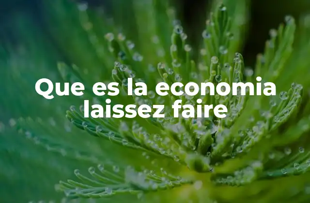 Que es la Economia Laissez Faire