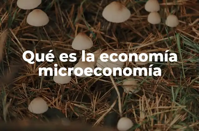 Qué es la Economía Microeconomía