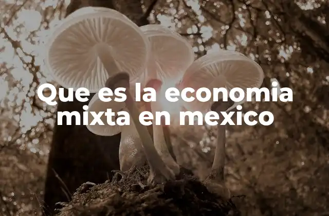 Que es la Economia Mixta en Mexico