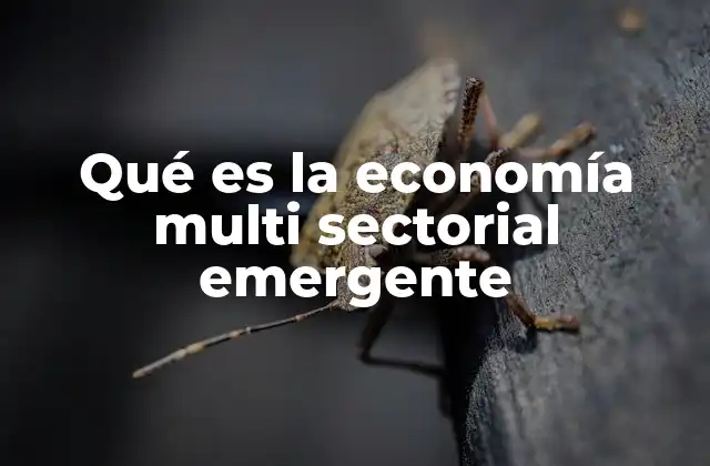 Qué es la Economía Multi Sectorial Emergente