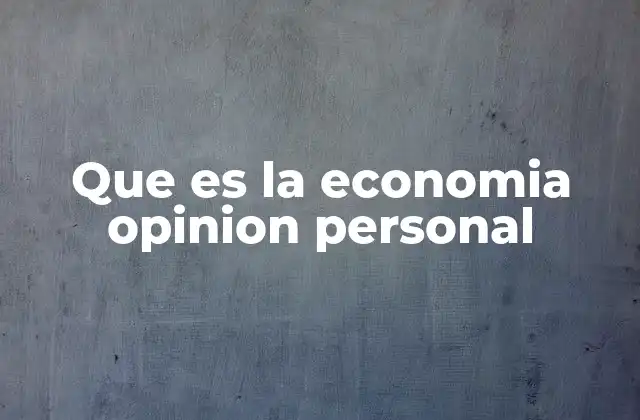 Que es la Economia Opinion Personal