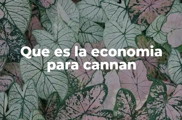 Que es la Economia para Cannan
