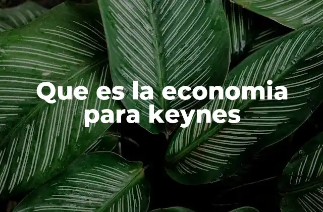 Que es la Economia para Keynes