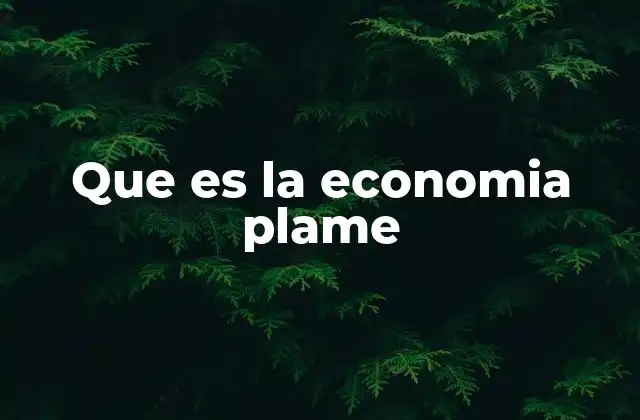 Que es la Economia Plame