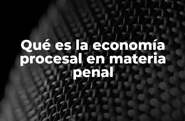 Qué es la Economía Procesal en Materia Penal