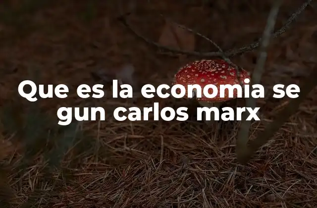 Que es la Economia Se Gun Carlos Marx