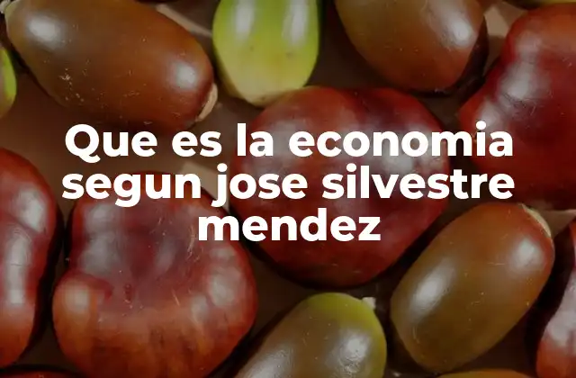 Que es la Economia Segun Jose Silvestre Mendez