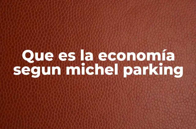 Que es la Economía Segun Michel Parking