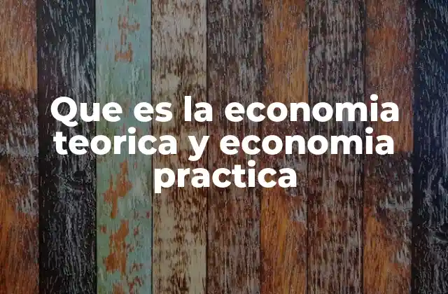 Que es la Economia Teorica y Economia Practica