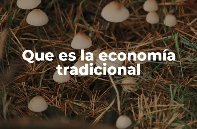 Que es la Economía Tradicional