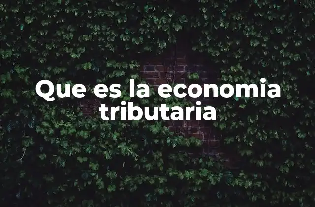 Que es la Economia Tributaria