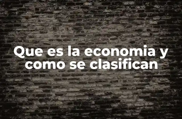 Que es la Economia y como Se Clasifican