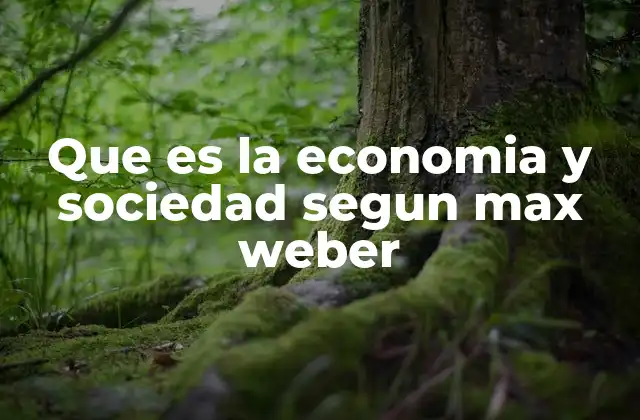 Que es la Economia y Sociedad Segun Max Weber