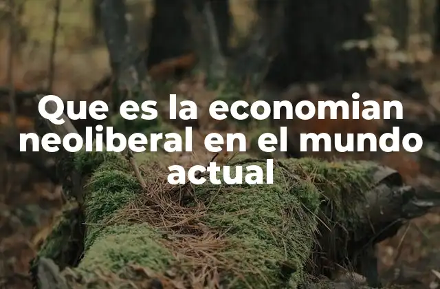 Que es la Economian Neoliberal en el Mundo Actual