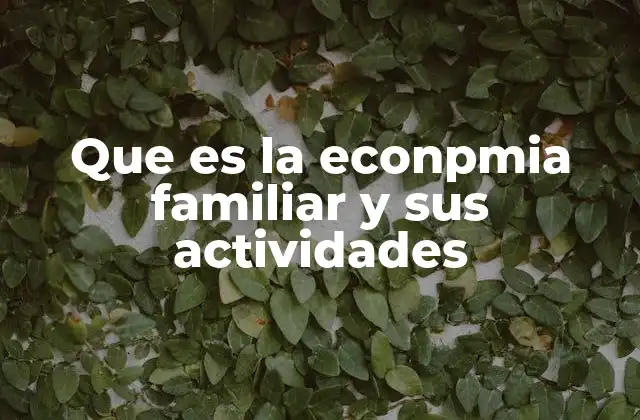 Que es la Econpmia Familiar y Sus Actividades
