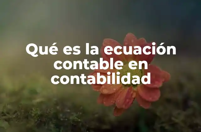 Qué es la Ecuación Contable en Contabilidad 2 Fundamentos de la ecuación contable sin mencionar directamente el término