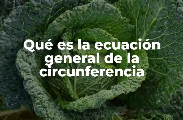Qué es la Ecuación General de la Circunferencia