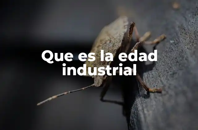 Que es la Edad Industrial 2 El inicio de una nueva era económica