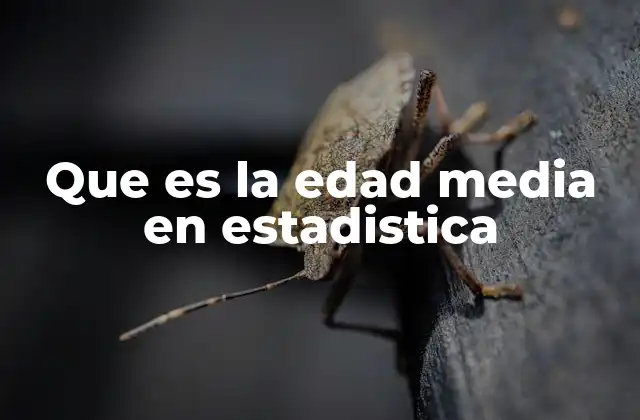 Que es la Edad Media en Estadistica